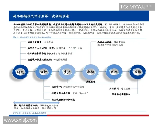 从零基础到滑板高手的全面技巧指南与实用建议